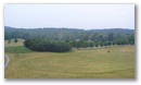 p1040279.jpg