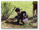 egghunting5.jpg